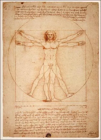 Qui a dessin  l'homme de Vitruve  ?