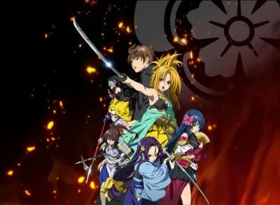 De quel anime s'agit-il ?