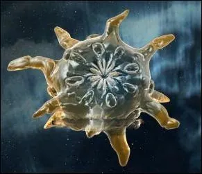 Comment cet extraterrestre s'appelle-t-il ?