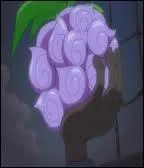 Ce fruit du dmon est celui de :