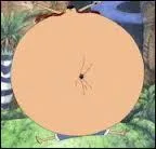 Comment s'appelle cette technique ?