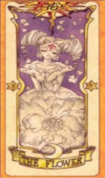 Quelle est cette carte ?