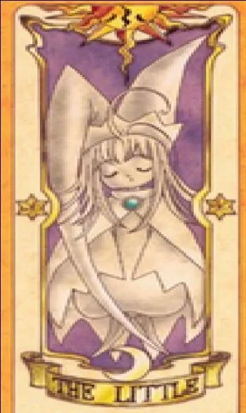 Quelle est cette carte ?