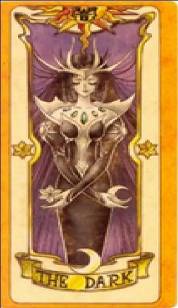 Quelle est cette carte ?