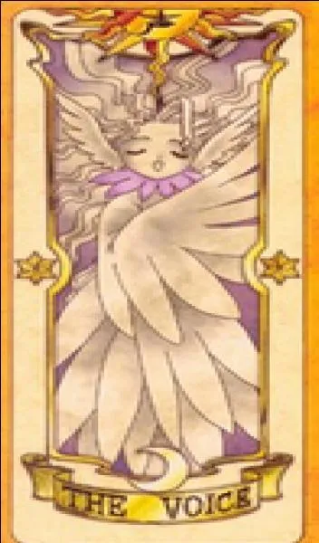 Quelle est cette carte ?