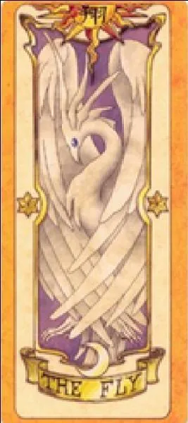 Quelle est cette carte ?