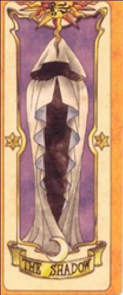 Quelle est cette carte ?