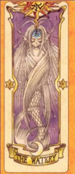 Quelle est cette carte ?