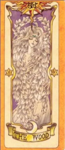 Quelle est cette carte ?