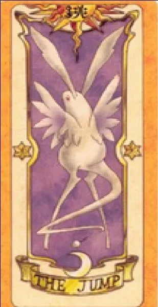 Quelle est cette carte ?