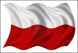 De quel pays vient ce drapeau ?