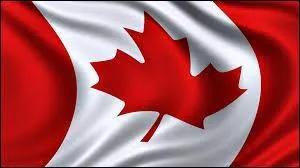 De quel pays vient ce drapeau ?