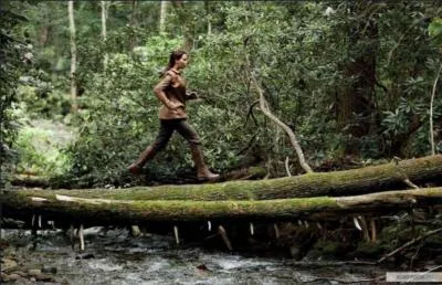 Katniss se foule-t-elle,  un moment de l'histoire, la cheville ?