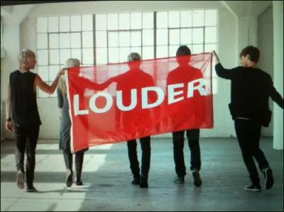 Comment s'appelle son groupe et quand s'est-il form ?