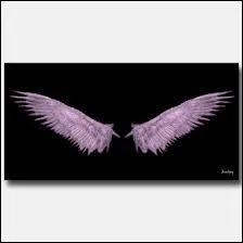 Le mot commence par : Mar ...