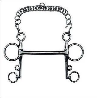 Quel est le nom de ce mors ?