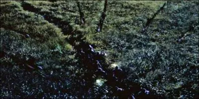 La folle course-poursuite continue dans les hautes herbes. Par quelle espce de dinosaure sont alors attaqus les rgiments de la premire expdition dans ces hautes herbes ?