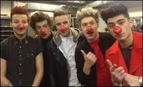 Suite : (One Direction) Que portent-ils ?