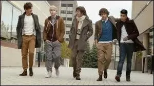 Gotta Be You : Harry : Que porte-t-il ? (pantalon, veste... )