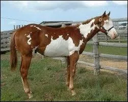 Plus compliqu cette fois, quelle est cette robe ?