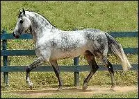 Quelle est cette robe ?