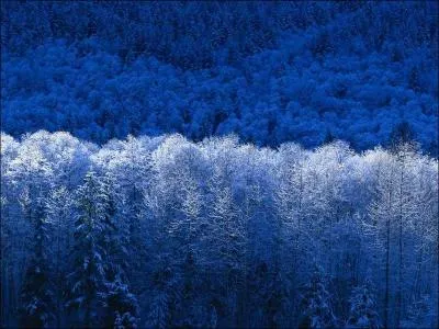 D'ailleurs, en rapport avec la question prcdente, pour quelle publicit la chanson a-t-elle t reprise ?