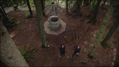 De quelle couleur est la Maldiction ?