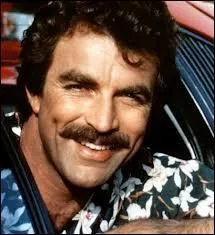 Dans quelle srie ce clbre moustachu n'a-t-il jamais jou ?