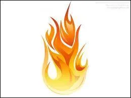 Que comporte le triangle du feu ?