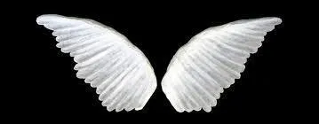 Le mot commence par : Mor ...