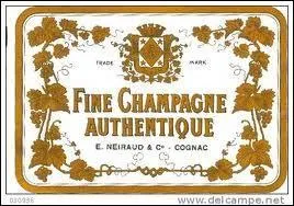 Le mot commence par : Mor ...