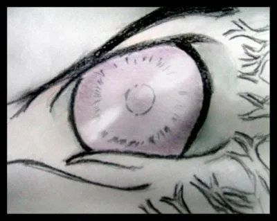 Que peuvent-ils voir avec ces pupilles ?