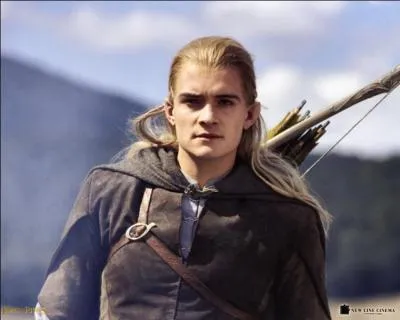 Qui suit la Communaut de l'anneau ?