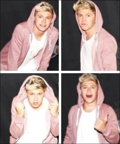 Qui est l'Irlandais du groupe :