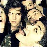 One Direction a eu 2 disques d'or (jusqu' 2013) :