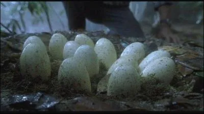 Le Professeur Alan Grant apprend ensuite le motif pour lequel les ex-poux Kirby sont ici. Il apprend aussi que le chque sign est en bois. Au dtour d'un chemin, ils tombent sur un nid dans lequel se trouve des ufs. Quelle est l'espce de dinosaure  laquelle les ufs appartiennent ?