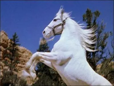 Comment s'appelle le fils de Flicka ?