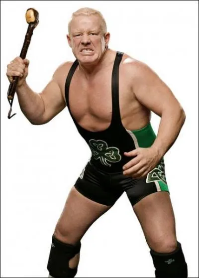 Quel est son finish ?