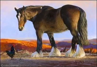 Cette race est la race la plus grande au monde, de quelle race s'agit-il ?