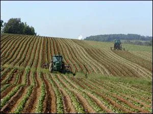 ENSA est l'acronyme de quelle grande cole franaise ?