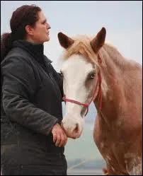Que faut-il faire avant d'entrer dans le box de sa monture ?