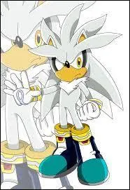 Vient-il du monde de Sonic ? Si non, d'o ?