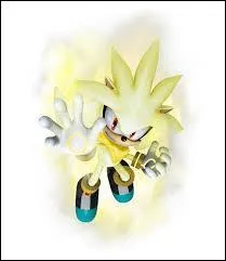 Comment s'appelle Silver dore ?