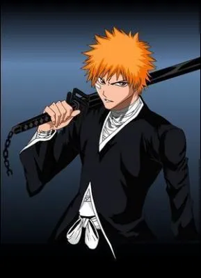 Quel est le nom de famille de Ichigo ?