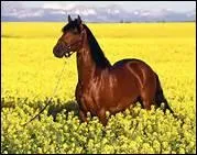 L'entretien d'un box se fait :