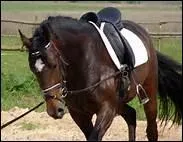 A quoi sert le couteau de chaleur ?