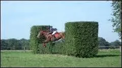 Quel est cet obstacle ?