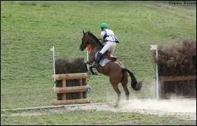 Quel est cet obstacle ?