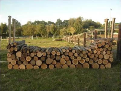 Quel est cet obstacle ?