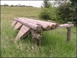 Quel est cet obstacle ?